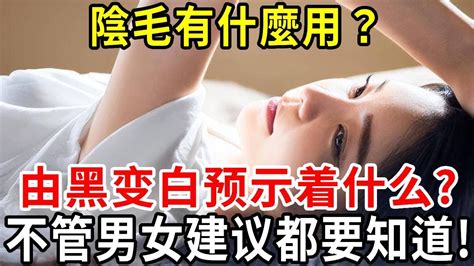 陰毛是什麼|男女生的「黑森林」3大功用 剃毛有1好處、1風險。